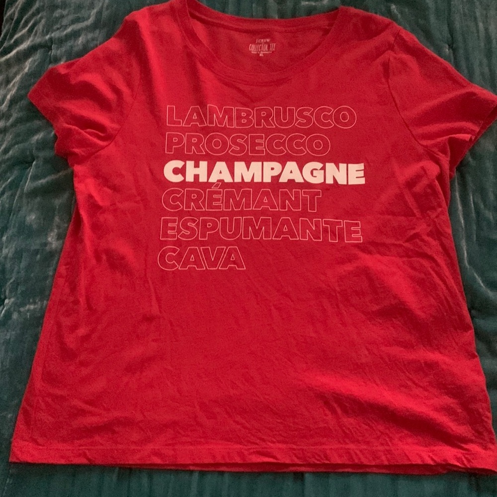 JCREW Collectors Sparkling Shirt